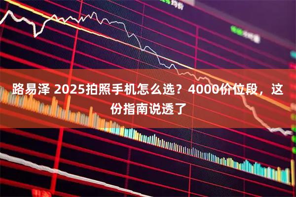 路易泽 2025拍照手机怎么选？4000价位段，这份指南说透了