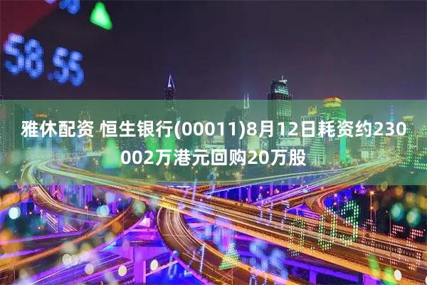 雅休配资 恒生银行(00011)8月12日耗资约230002万港元回购20万股