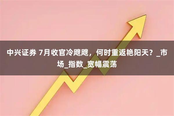 中兴证券 7月收官冷飕飕，何时重返艳阳天？_市场_指数_宽幅震荡
