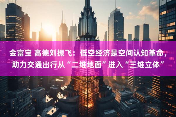金富宝 高德刘振飞：低空经济是空间认知革命，助力交通出行从“二维地面”进入“三维立体”
