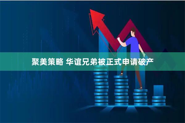 聚美策略 华谊兄弟被正式申请破产