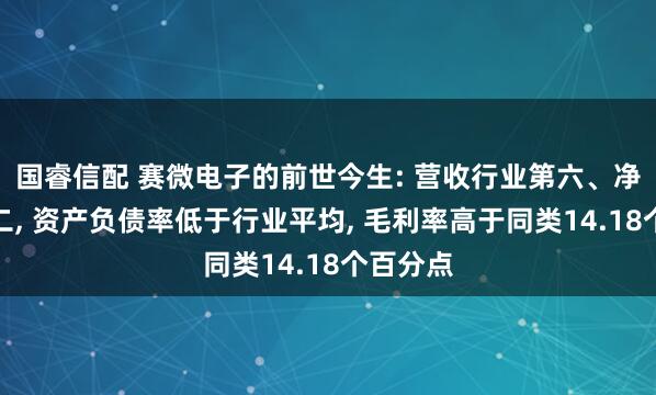 国睿信配 赛微电子的前世今生: 营收行业第六、净利润第二, 资产负债率低于行业平均, 毛利率高于同类14.18个百分点